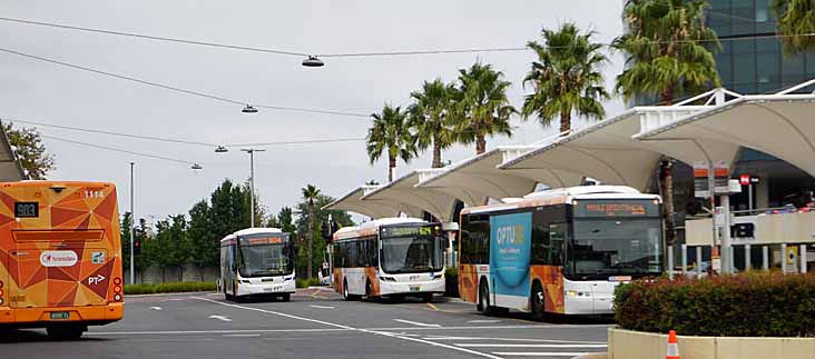 Transdev 1114, Ventura 1060 and CDC Melbourne 165 & 88